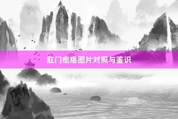 肛门疙瘩图片对照与鉴识