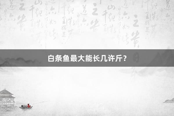 白条鱼最大能长几许斤？